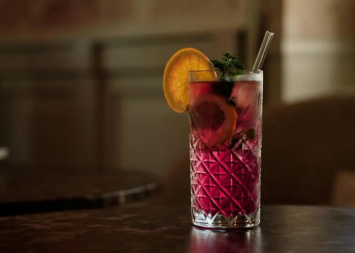 Alden Spluegenschloss - Leonardo Limited Edition Otel Zürih